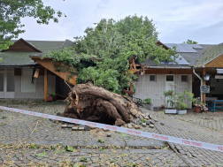 Katasztrófavédelem