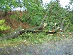 Katasztrófavédelem