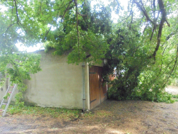 Katasztrófavédelem