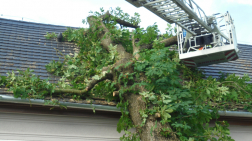 Katasztrófavédelem