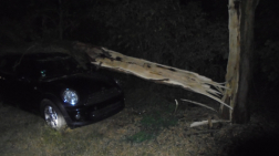 Katasztrófavédelem