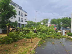 Katasztrófavédelem