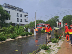 Katasztrófavédelem