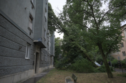 Katasztrófavédelem