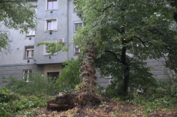 Katasztrófavédelem