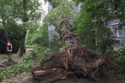 Katasztrófavédelem