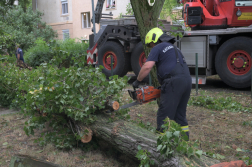 Katasztrófavédelem