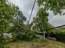 Katasztrófavédelem