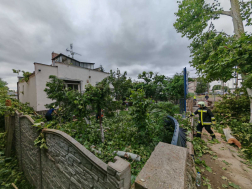 Katasztrófavédelem