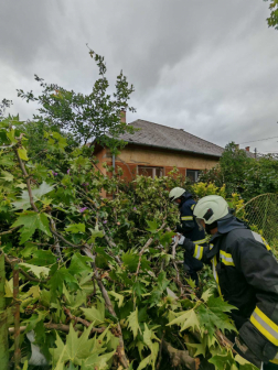 Katasztrófavédelem