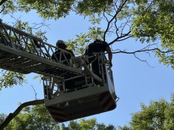 Katasztrófavédelem