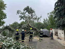 Katasztrófavédelem