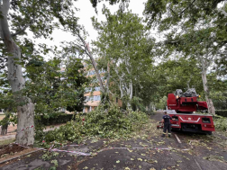 Katasztrófavédelem