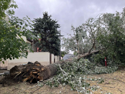 Katasztrófavédelem