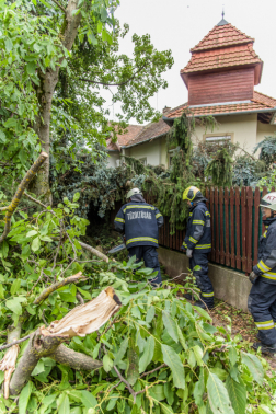 Katasztrófavédelem