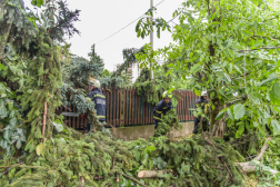 Katasztrófavédelem