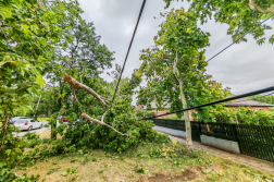 Katasztrófavédelem