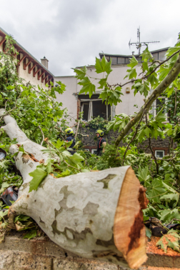 Katasztrófavédelem