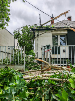 Katasztrófavédelem