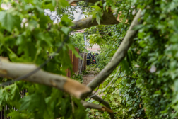 Katasztrófavédelem