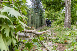 Katasztrófavédelem