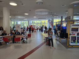 Katasztrófavédelem