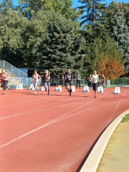 Katasztrófavédelem