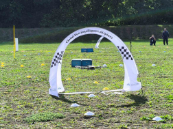 Katasztrófavédelem