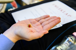 Katasztrófavédelem