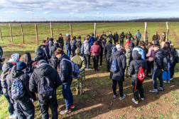 Fákat ültettek a tavalyi tűz helyén a Vas vármegyei Csöngén