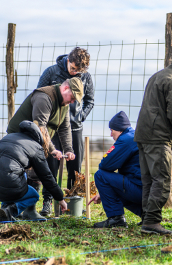 Fákat ültettek a tavalyi tűz helyén a Vas vármegyei Csöngén