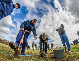 Fákat ültettek a tavalyi tűz helyén a Vas vármegyei Csöngén