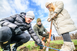 Fákat ültettek a tavalyi tűz helyén a Vas vármegyei Csöngén