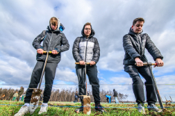 Fákat ültettek a tavalyi tűz helyén a Vas vármegyei Csöngén