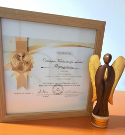 Díj a segítségnyújtásért