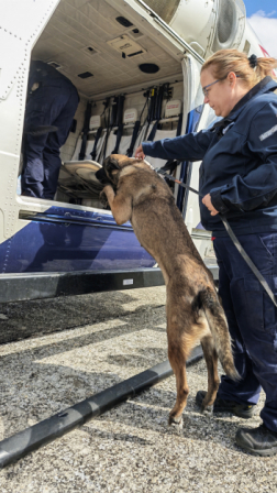 Helikopteres gyakorlaton a Hunor keresőkutyás egysége