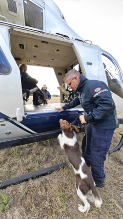 Helikopteres gyakorlaton a Hunor keresőkutyás egysége