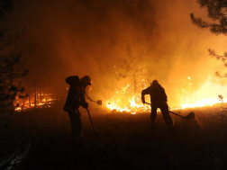 Katasztrófavédelem