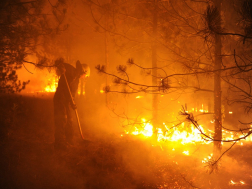 Katasztrófavédelem