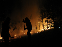 Katasztrófavédelem