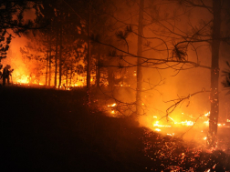 Katasztrófavédelem