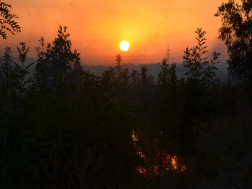 Katasztrófavédelem