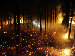 Katasztrófavédelem