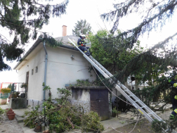 Háztetőre szakadt faágakat távolítanak el a tűzoltók