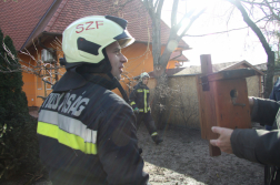 Kidőlt fáról leesett madárodút tartanak a tűzoltók