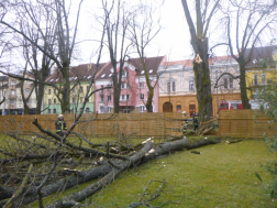 Kerítést szakított át el lezuhant méretes faág