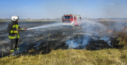 Leégett mező, a kép előterében lángokat oltó tűzoltó, hátrébb tűzoltóautó