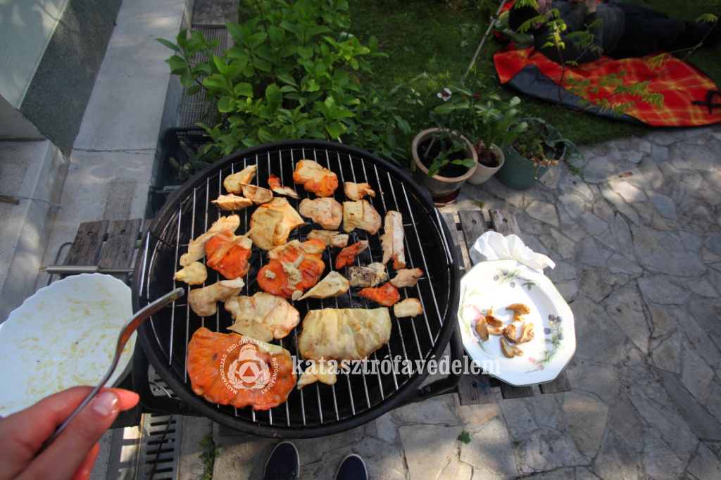 Katasztrófavédelem