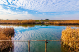 Folytatódik a biológiai szúnyoggyérítés