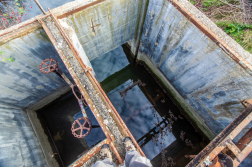 Szúnyogtenyész helyek